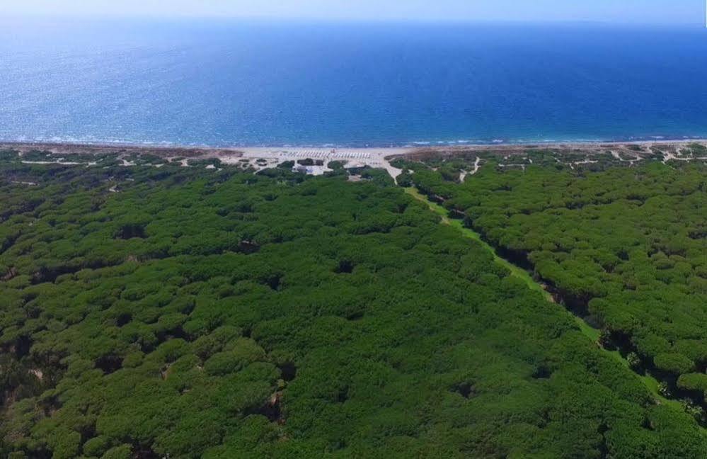 Hotel Fortezza Arborea Eksteriør bilde